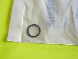 11900045-SUB1 O-Ring, Drain Plug