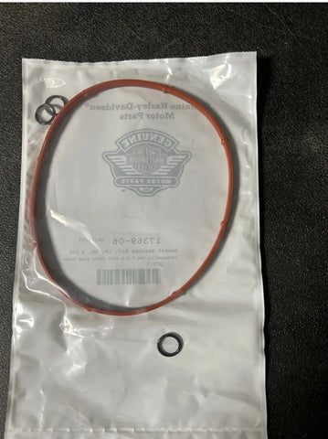 17369-06 Gasket Service Kit