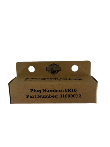 HD SPARK PLUG, 6R10